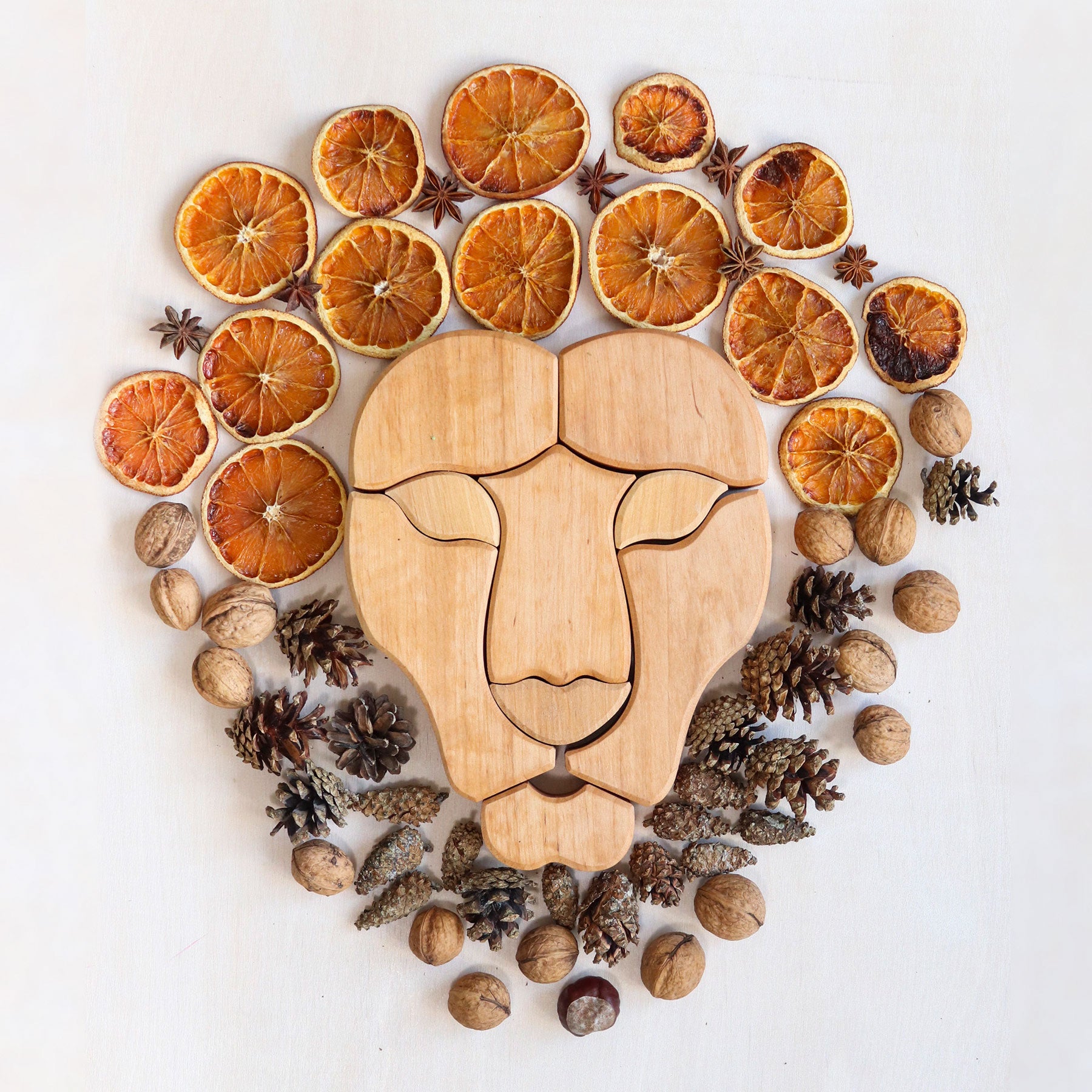 Grimm`s houten blokkenset regenboog leeuw