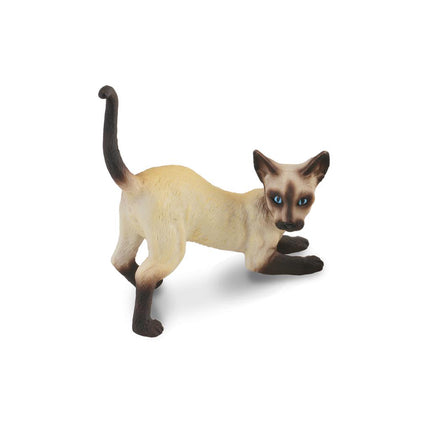 collecta siamese kat