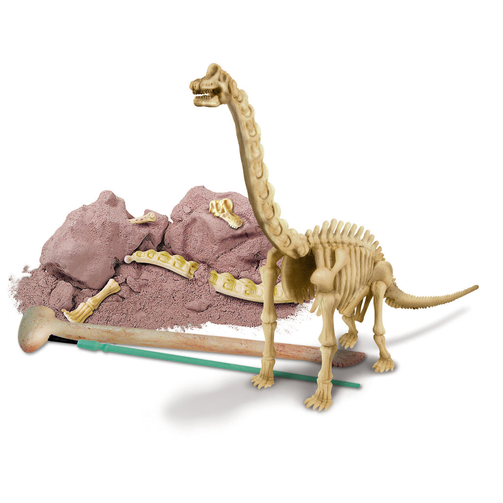 inhoud van 4M Kidzlabs Graaf-Je-Dinosaurus-Op Brachiosaurus