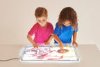 Light Panel Cover