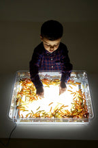  Tickit exploration tray voor lichtpaneel met pasta