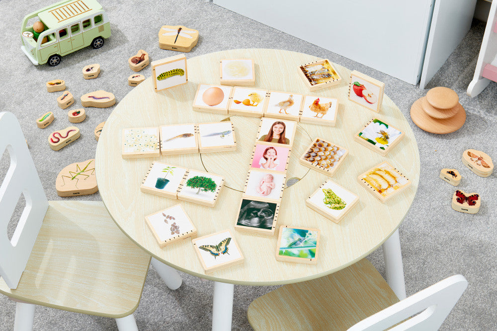 Tickit houten blokken levenscyclus