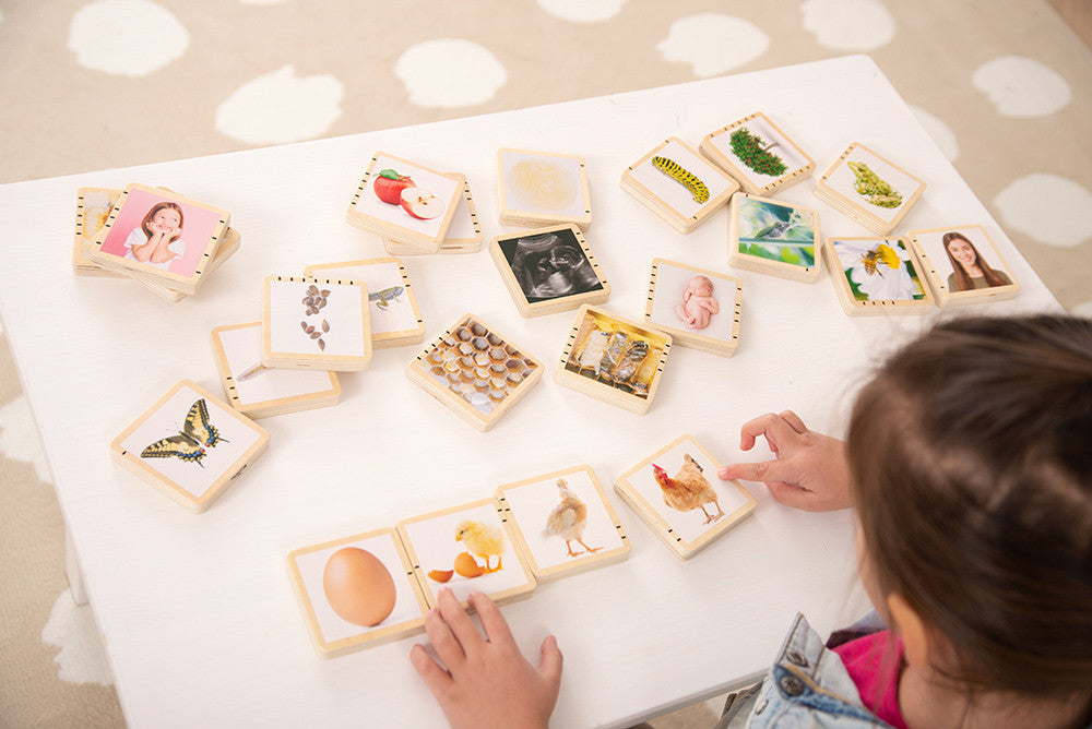 Tickit houten blokken levenscyclus