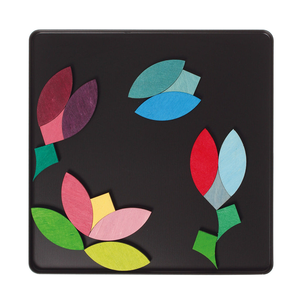 Grimm`s magneetspel cirkels