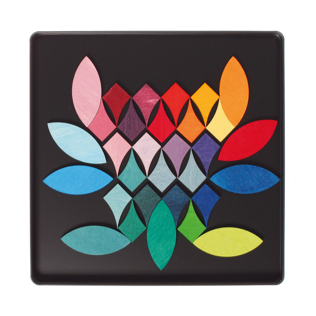 Grimm`s magneetspel cirkels