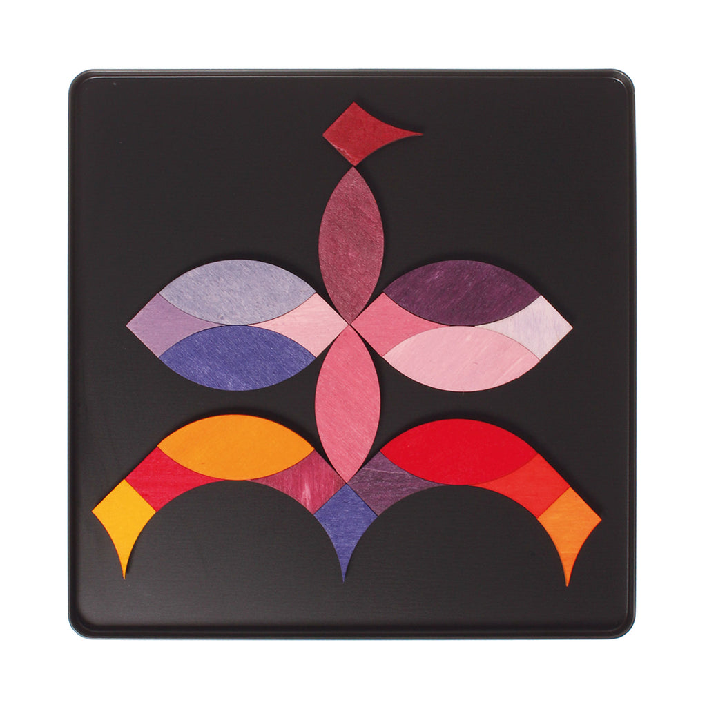 Grimm`s magneetspel cirkels