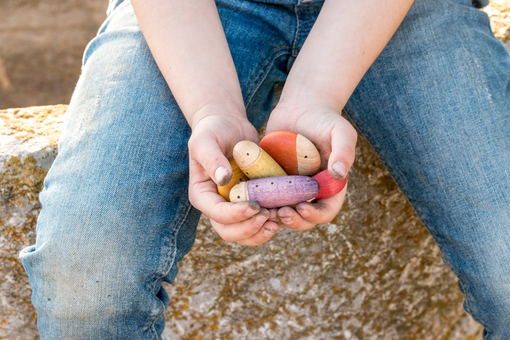 Grapat 18 houten insecten