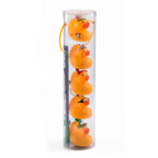 Djeco visspel Fishing Ducks