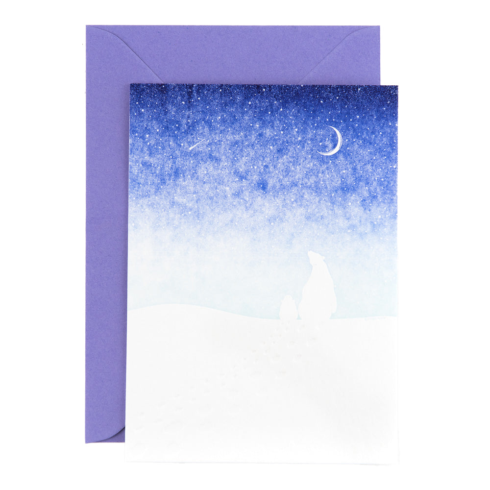 Studio Flash ijsberen