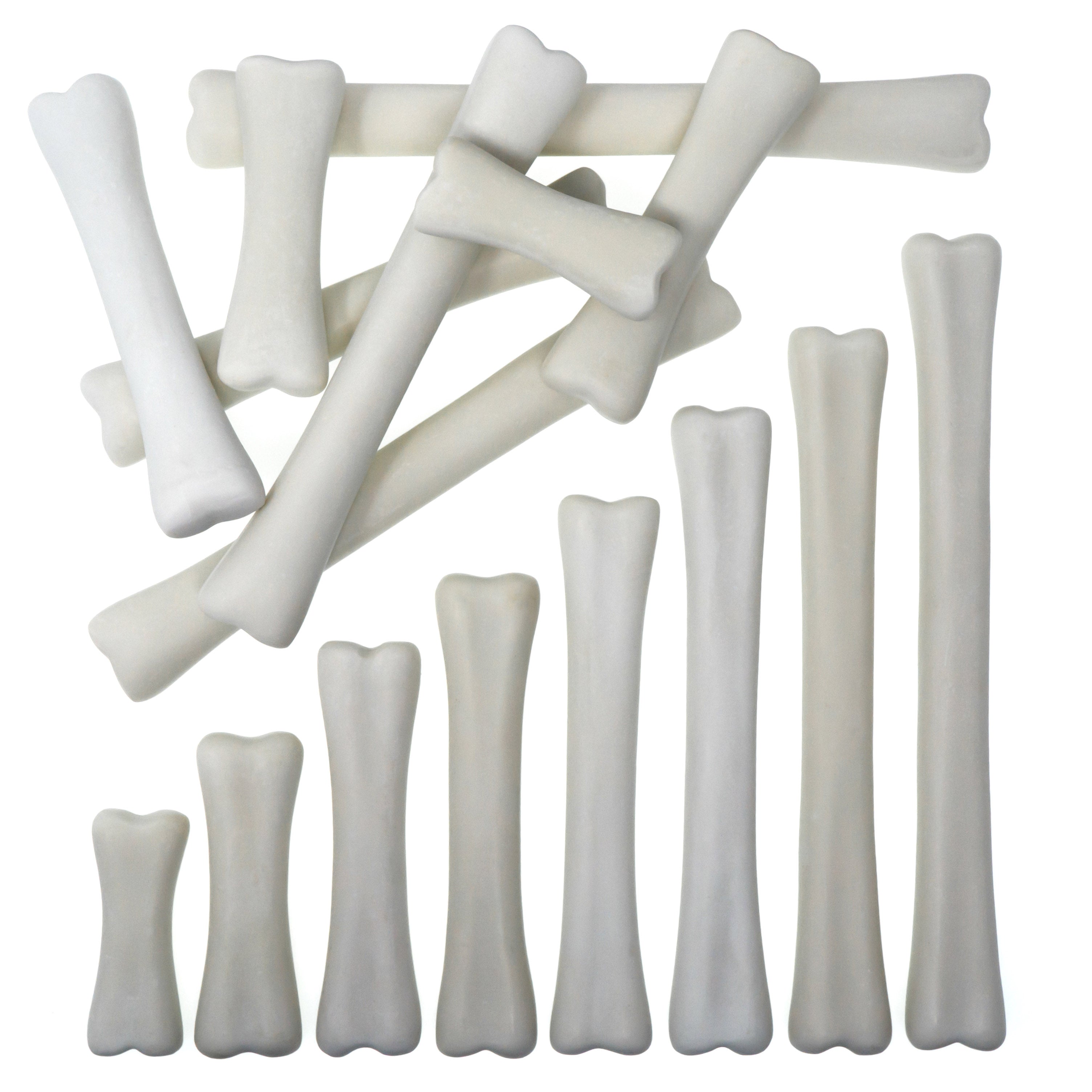 Yellow Door dinosaurus botten meten