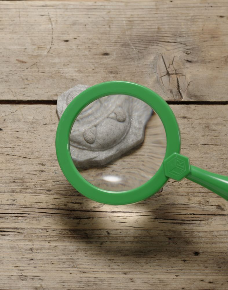 Yellow Door ontdekstenen met fossielen