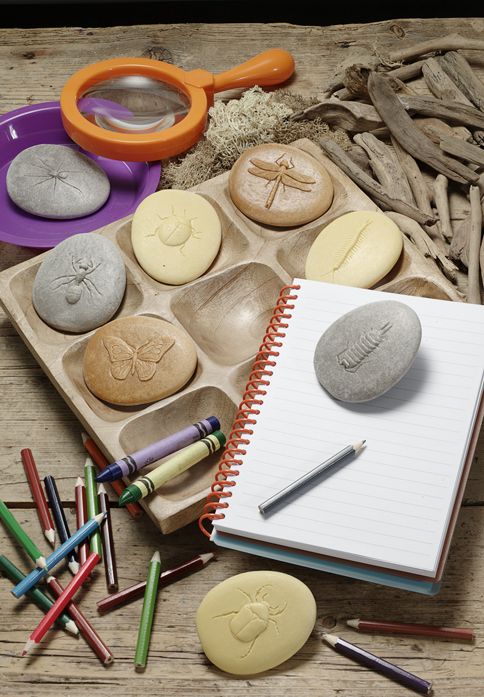 Yellow Door stenen met insecten