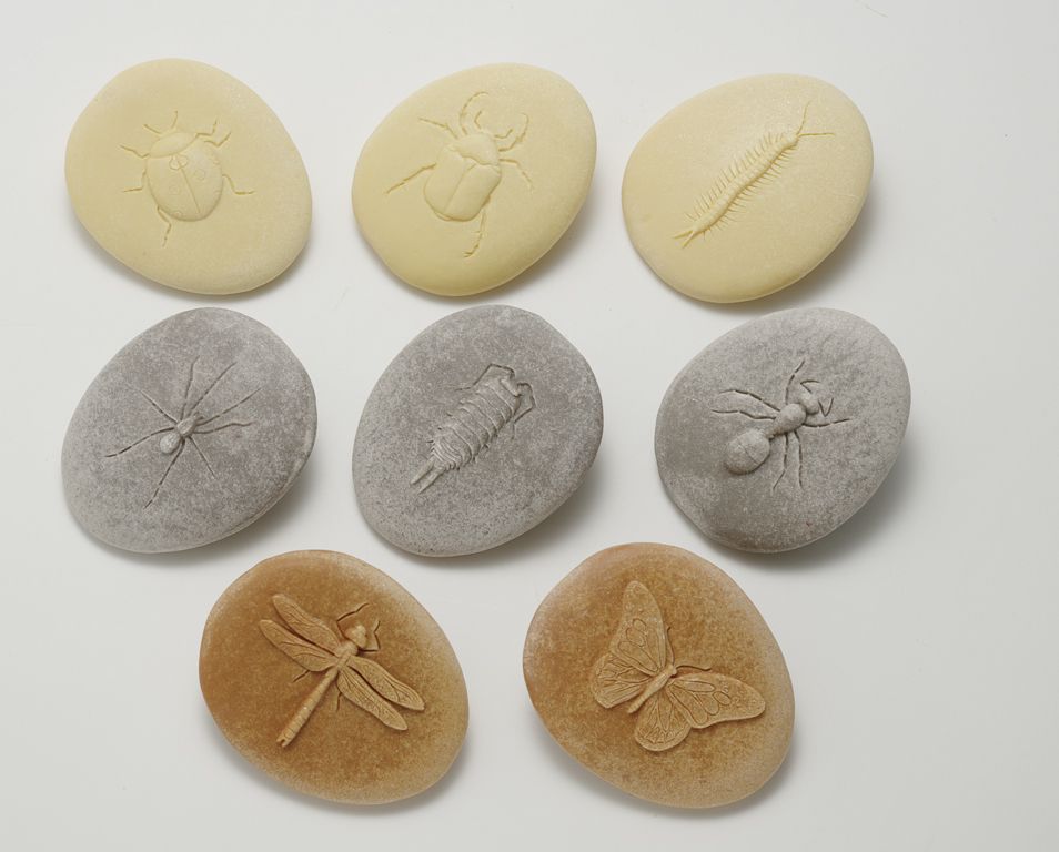 Yellow Door stenen met insecten