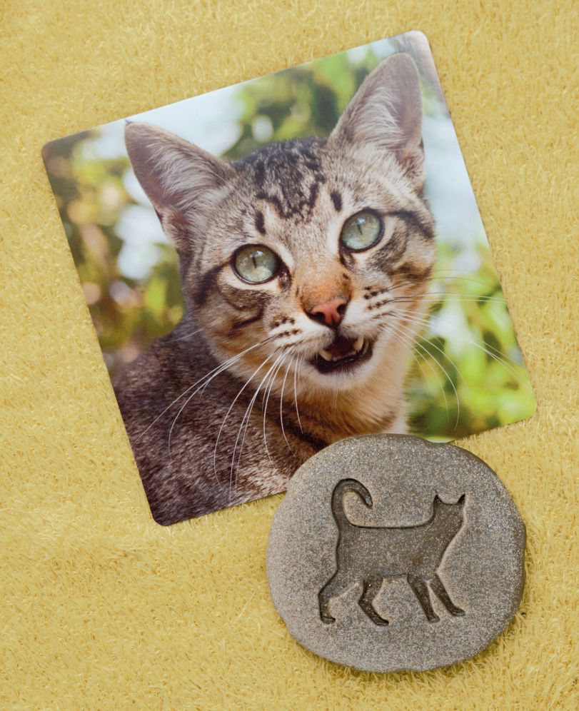 Yellow Door ontdekstenen pootafdrukken boerderijdieren