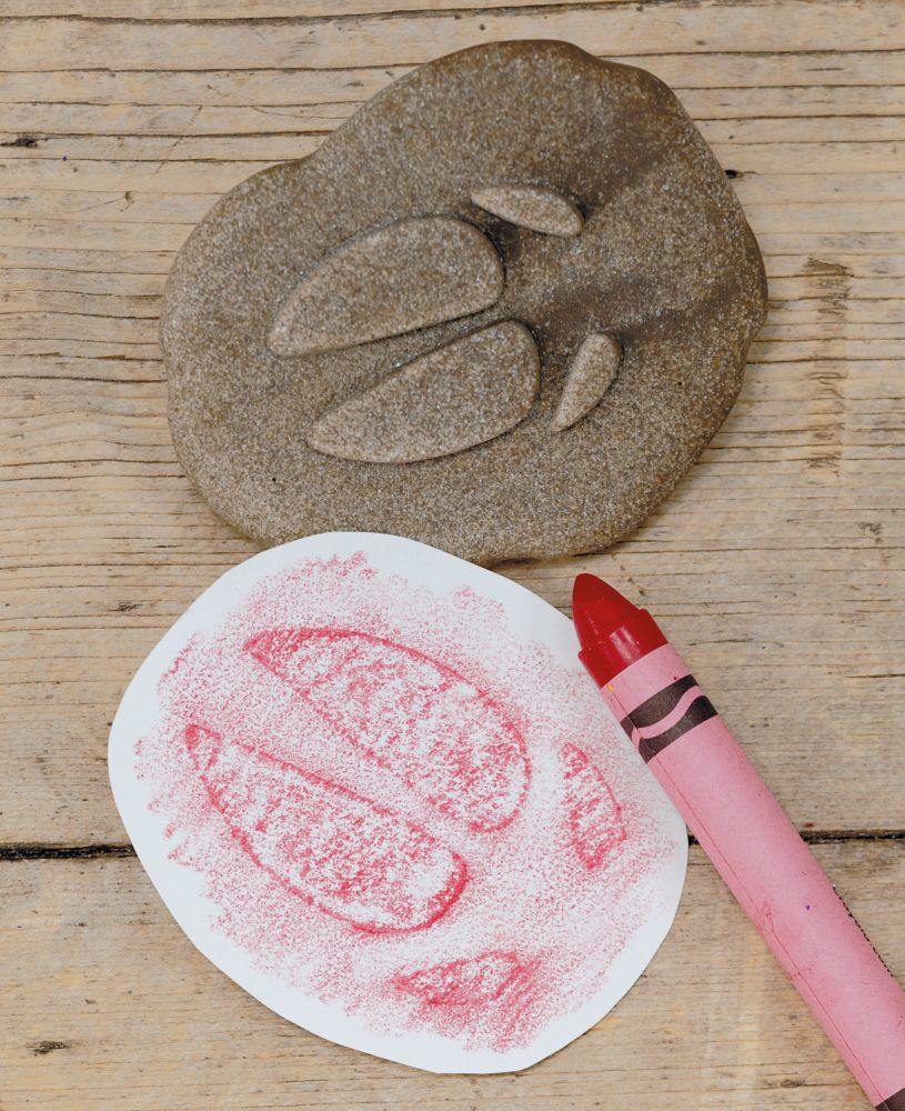 Yellow Door ontdekstenen pootafdrukken boerderijdieren