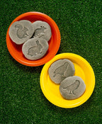 Yellow Door ontdekstenen pootafdrukken bosdieren