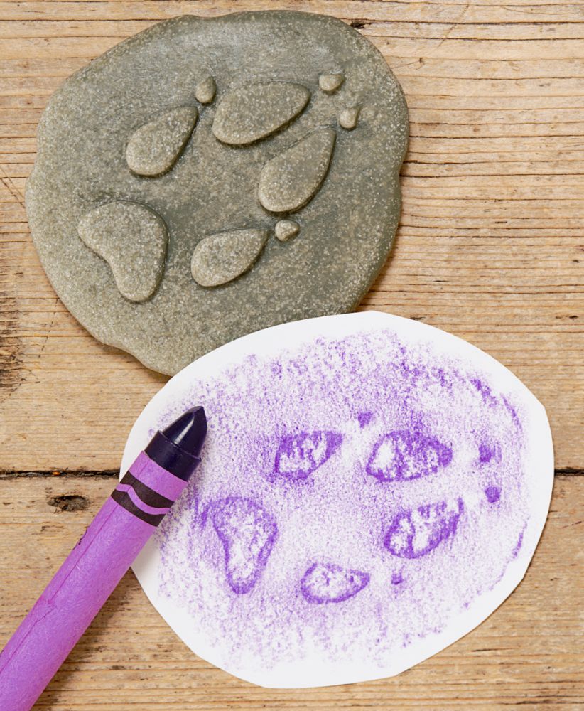 Yellow Door ontdekstenen pootafdrukken bosdieren