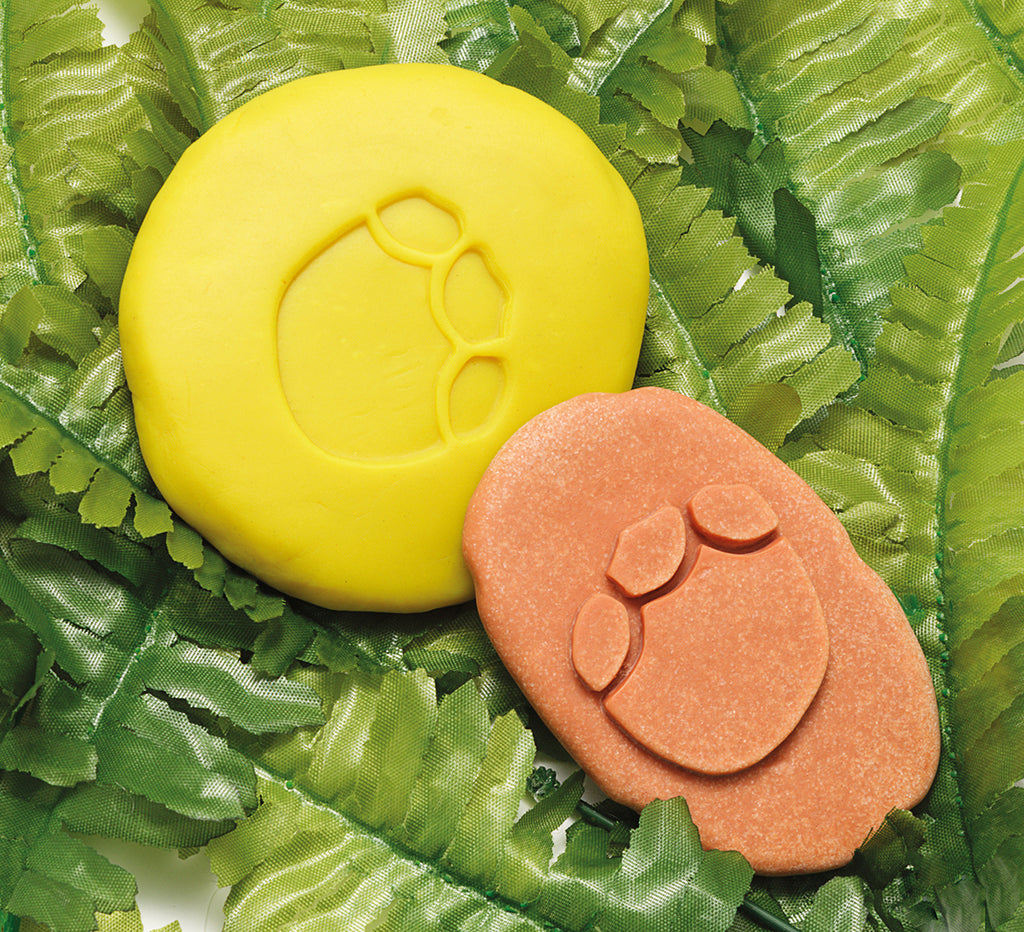 Yellow Door ontdekstenen pootafdrukken dinosaurussen