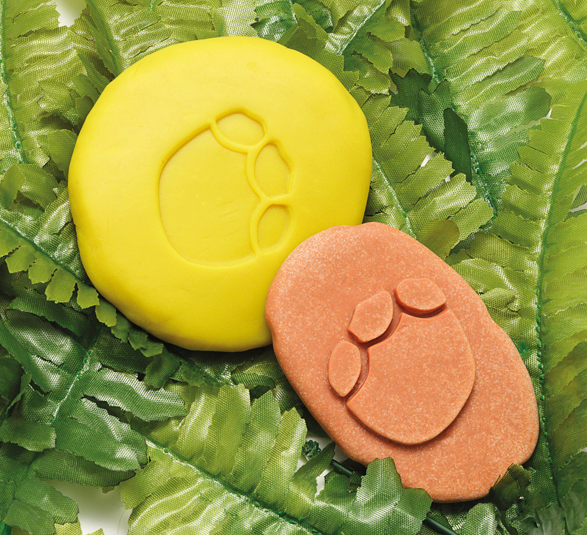 Yellow Door ontdekstenen pootafdrukken dinosaurussen