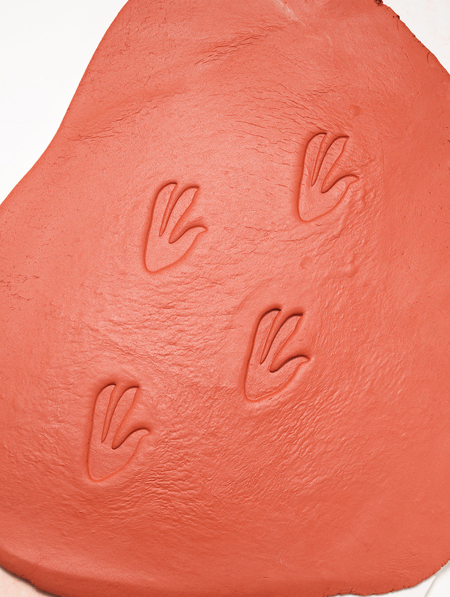 Yellow Door ontdekstenen pootafdrukken dinosaurussen