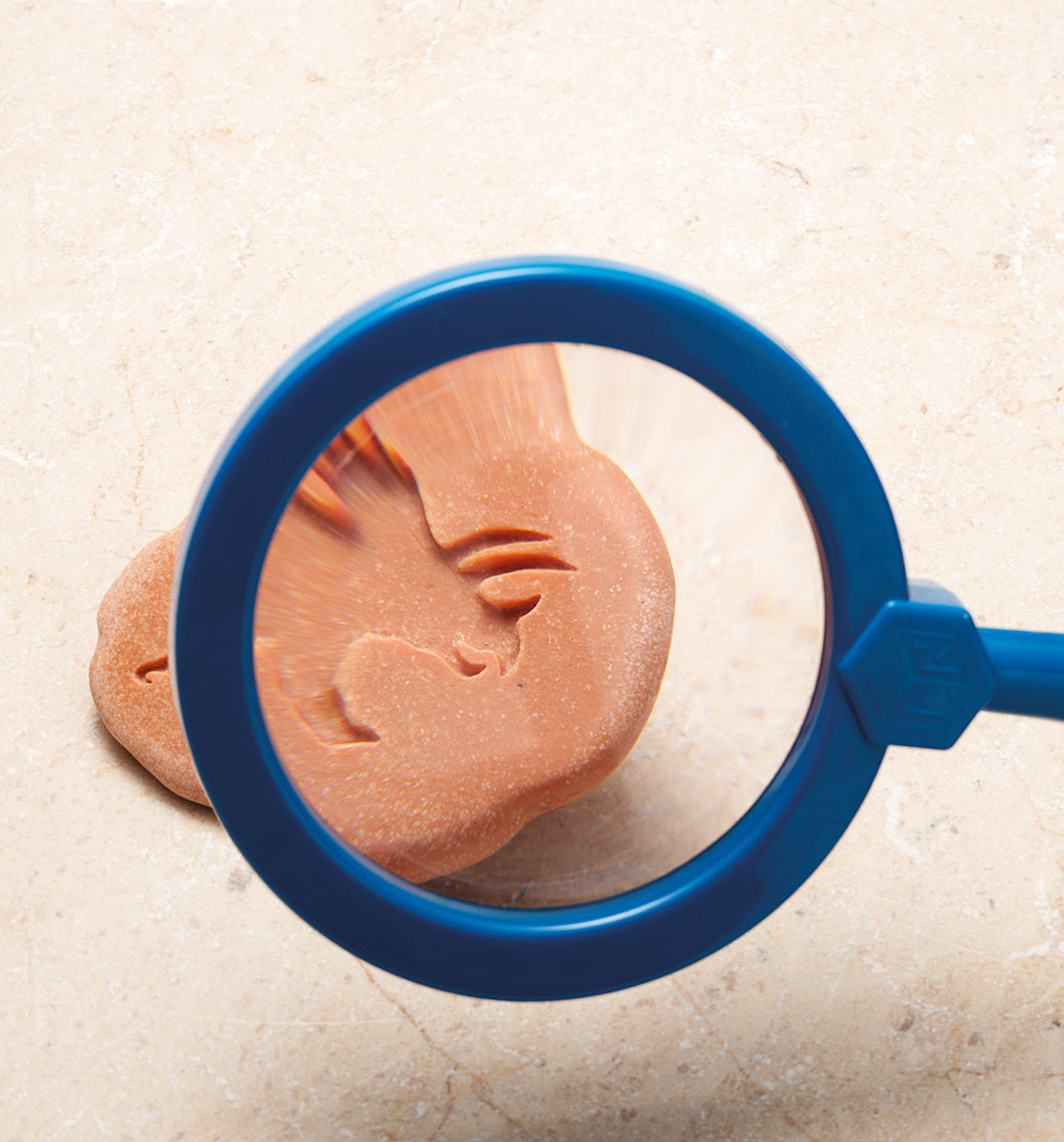 Yellow Door ontdekstenen pootafdrukken dinosaurussen