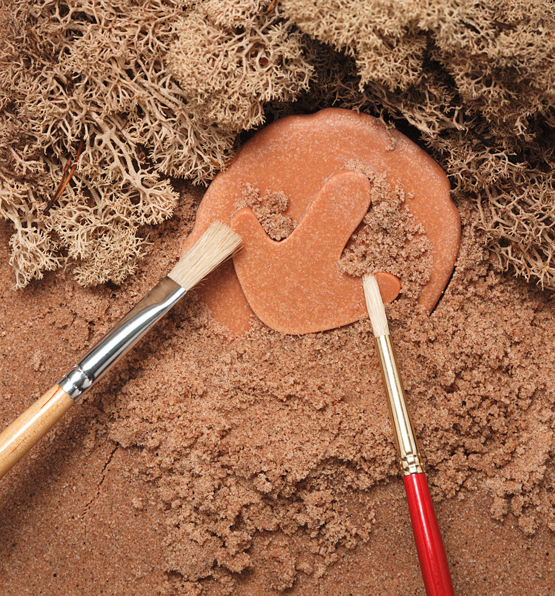 Yellow Door ontdekstenen pootafdrukken dinosaurussen