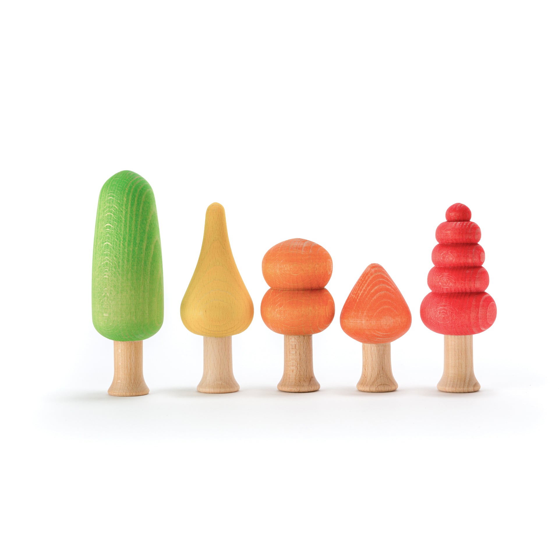 Ocamora bos in warme kleuren