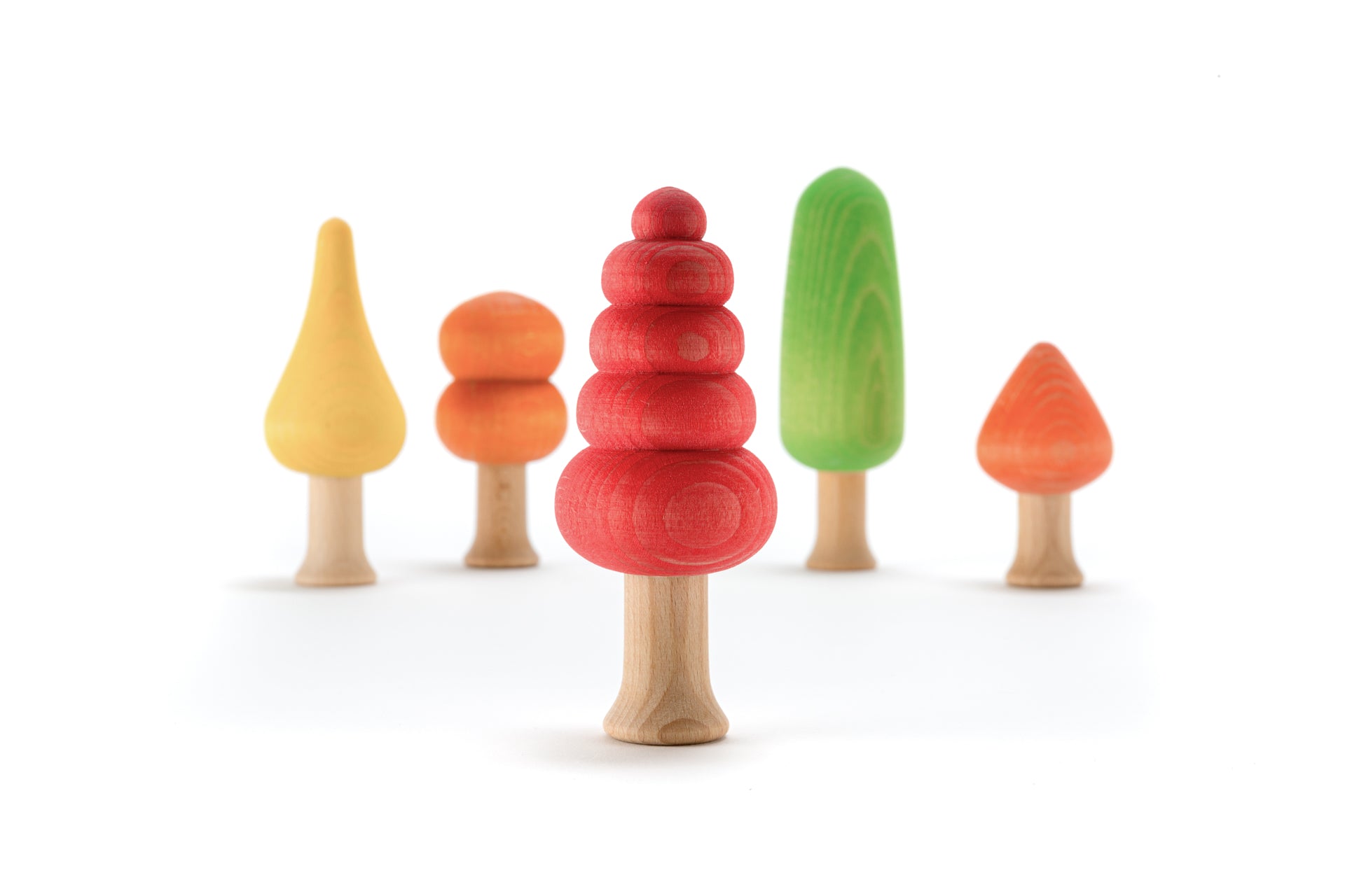 Ocamora | Forest | Warm & Cold