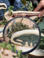 Yellow Door speelset met 8 houten dinosaurussen