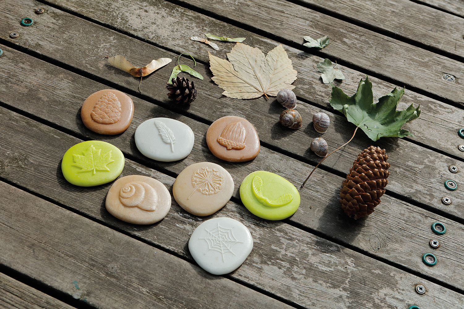 Yellow Door ontdekstenen natuur