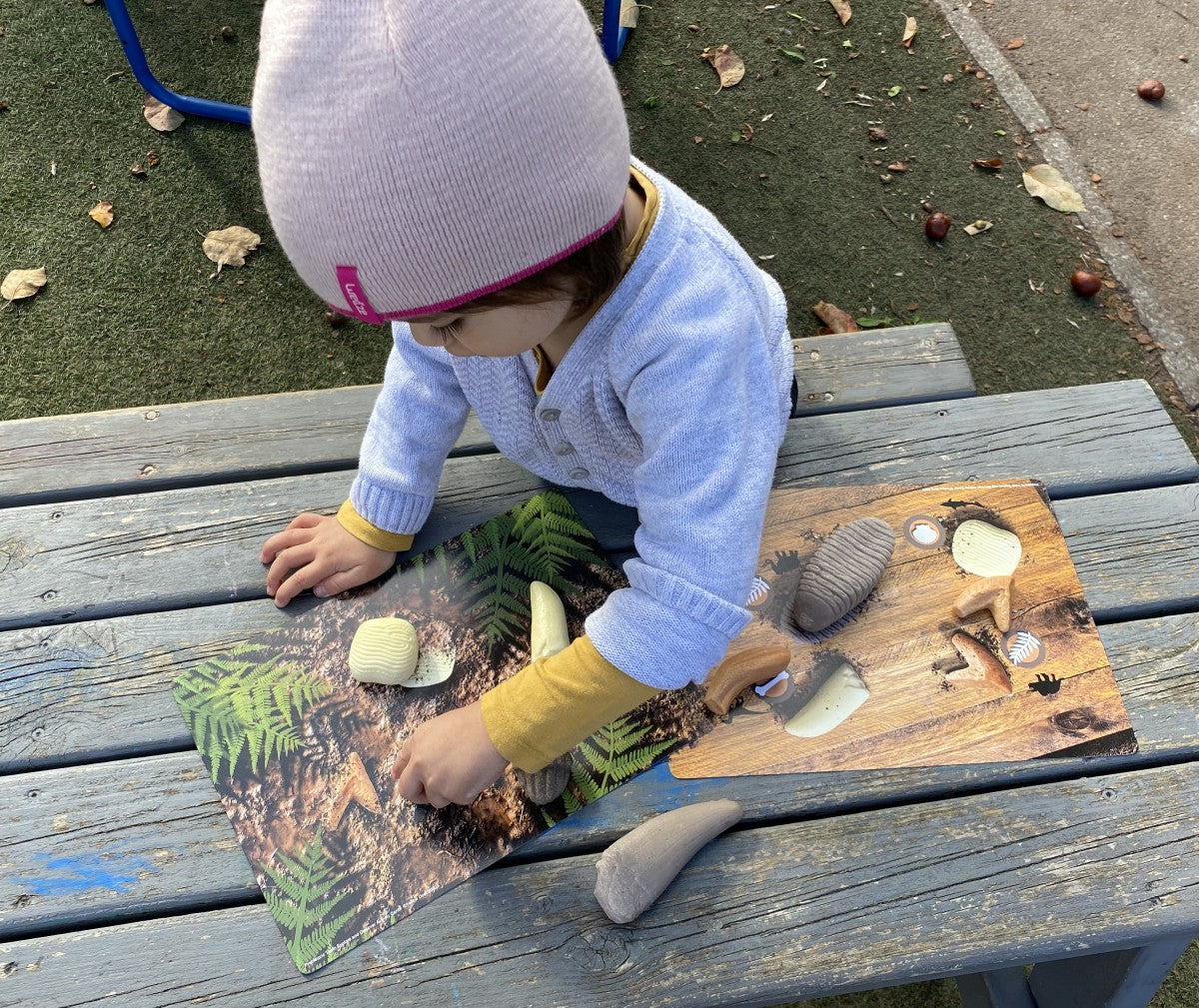 Yellow Door activiteitenkaarten prehistorische tanden